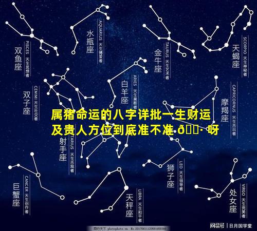 属猪命运的八字详批一生财运及贵人方位到底准不准 🌷 呀